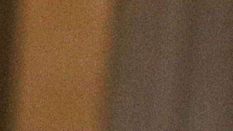 El presidente Trump promueve sus gorras MAGA.