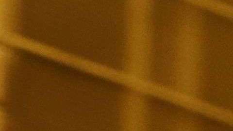 El gobierno de EEUU ha intentado avanzar en un acuerdo entre Israel y Palestina, pero no ha habido resultados.