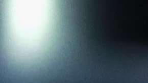 Alessandra Ambrosio en el Victoria's Secret Fashion Show.