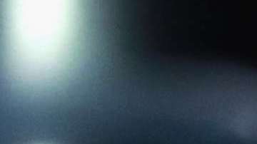 Alessandra Ambrosio en el Victoria's Secret Fashion Show.