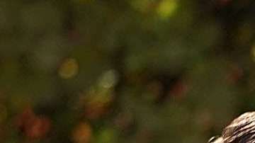 El presidente Trump estuvo acopañado de la primera dama Melania y su hijo Barrón.