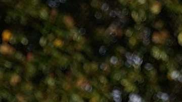 El presidente Trump enfrenta polémica por