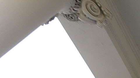 Los visitantes podrán disfrutar los adornos.