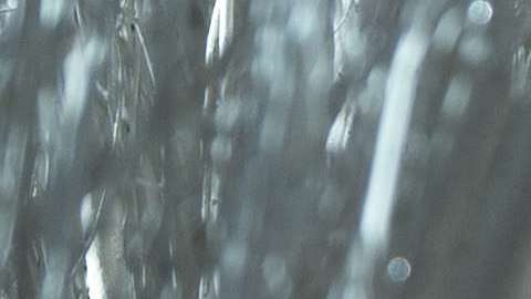 La primera dama ayudó y supervisó la decoración de navidad de la Casa Blanca