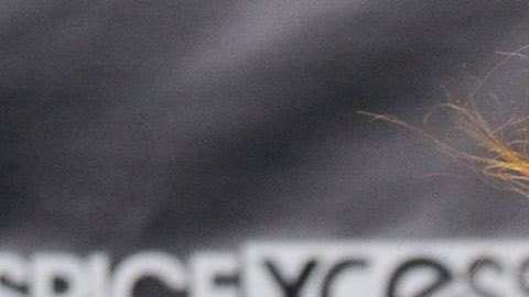 Shyla Stylez falleció en Canadá, mientras dormía.