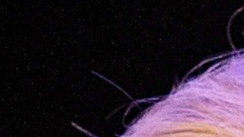 Hillary Clinton y Donald Trump.