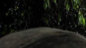 Ola de homicidios en México /Agencia Reforma