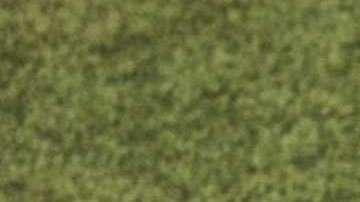 Messi con el nuevo uniforme de Argentina. Adidas.