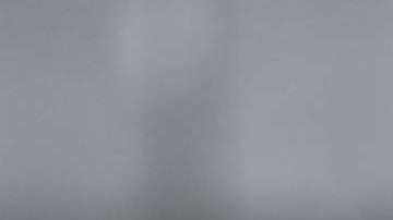 Javier "Chicharito" Hernández obtiene el PND 2017