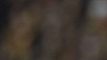 Hirving "El Chucky" Lozano podría convertirse en el fichaje más caro del próximo mercado en Europa