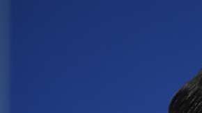 Cruz Azul hace un llamado a todos los celestes a dejarse la barba, durante la liguilla