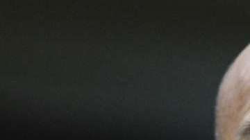 Paco Jémez fue destituido este lunes como técnico del Cruz Azul