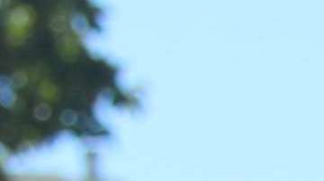 De nada sirvió la presión de políticos y activistas para frenar la decisión del gobierno Trump