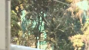 Rosa Seseña, limpiadora en la CDMX, camino a su trabajo.