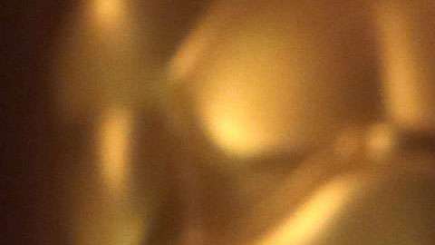 Alejandro González Iñarritu recibió un Óscar especial.