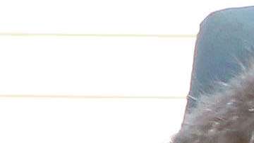 Alex Rodriguez y JLo se fueron de compras con toda la familia.