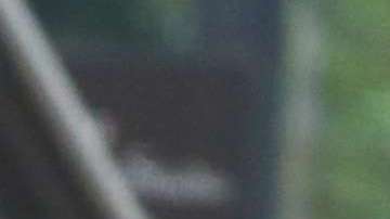 Selena Gomez y Justin Bieber ya llevan una semana viviendo juntos.