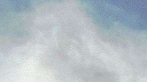 Un promedio de 30,000 elefantes son saqueados cada año en África.