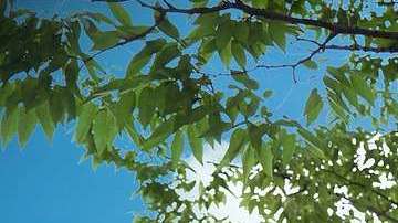 Corea del Sur molesta a su vecino.