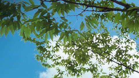 Corea del Sur molesta a su vecino.