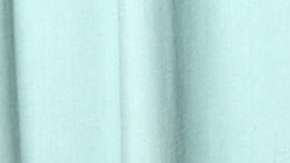 La investigación sobre Kate del Castillo ha sido cerrada