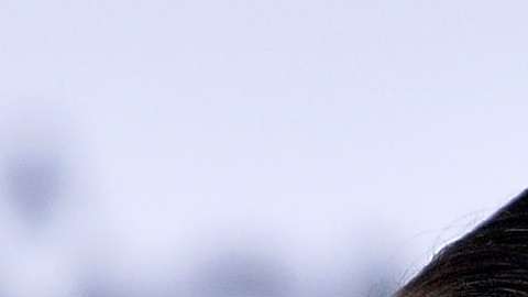 La actriz Mila Kunis hizo donaciones a nombre del vicepresidente Mike Pence.