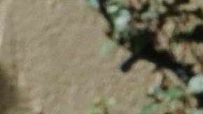 El amor le ha vuelto a sonreír a Lady Gaga.