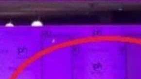 Nagma Shrestha intentó ponerse de pie rápidamente, pero fue asistida por el personal del evento.