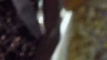 Demi-Leigh Nel-Peters, Miss Universo 2017.