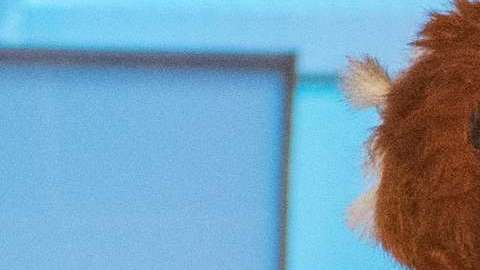 Los trajes típicos de Miss Universo