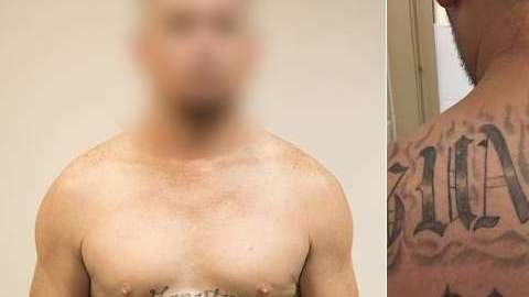 El DHS y el DOJ lideran una cruzada contra La Mara Salvatrucha.