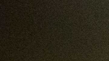 Una Internet con dos velocidades de acceso a los sitios más populares de Internet es lo que vivirá si se anula la neutralidad de la red.