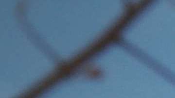 Depende de signo que seas, es la actividad física que te gusta.