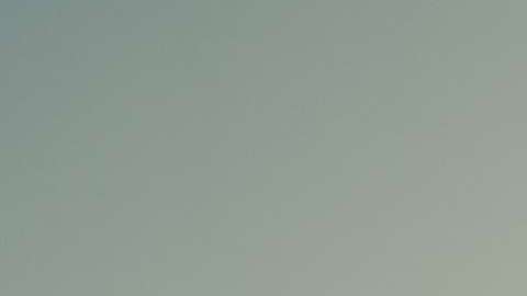 El bug afectó al sistema operativo de los computadores Mac, el MacOS High Sierra.