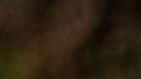 La gratitud nos obliga a ser más humildes porque quita el enfoque de nosotros.