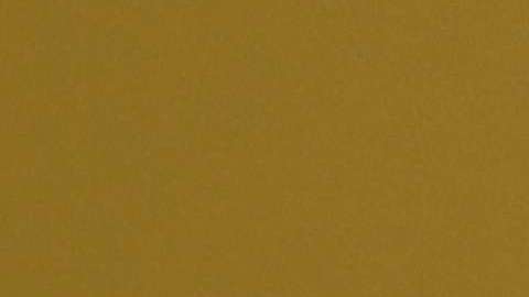 Walmart publicó su listado de juguetes preferidos de este 2017.