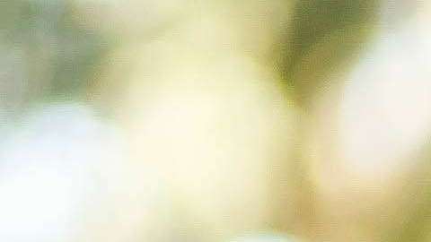 Ahora las mujeres buscan hombres menos rudos.