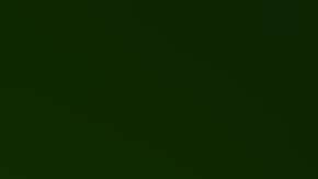 Los pelos en el cuerpo de las moscas atraen bacterias.