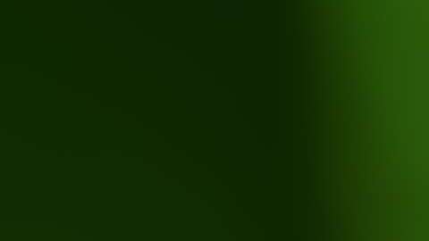 Los pelos en el cuerpo de las moscas atraen bacterias.