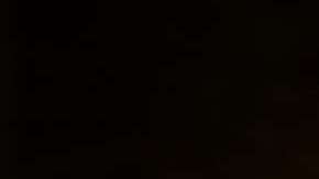 Tener paz y tranquilidad en las vacaciones navideñas sí es posible.