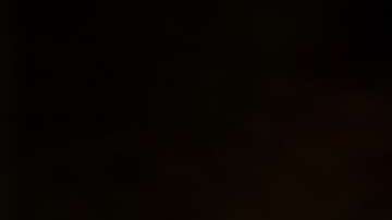 Tener paz y tranquilidad en las vacaciones navideñas sí es posible.