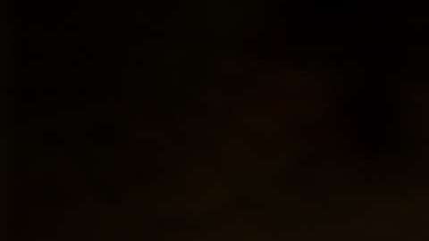 Tener paz y tranquilidad en las vacaciones navideñas sí es posible.