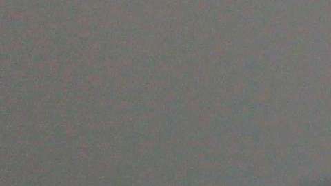 Lee lo que no quisieron que leyeras