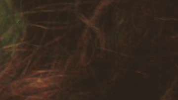 Algunos medicamentos pueden tener reacciones secundarias por culpa del Sol.