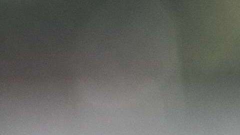 Recuerda que la prioridad es obtener el precio más bajo por un auto nuevo.