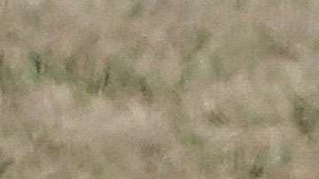 Shakira y Piqué desatan los rumores.