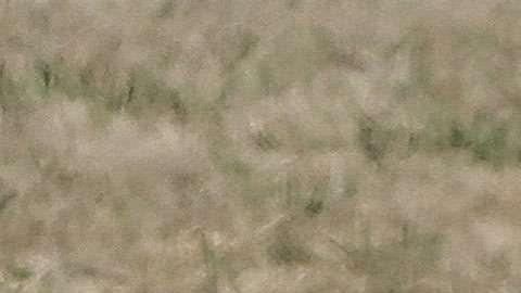 Shakira y Piqué desatan los rumores.