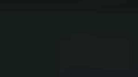 Las imágenes fueron captadas por una cámara de la patrulla.