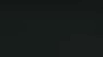 Las imágenes fueron captadas por una cámara de la patrulla.