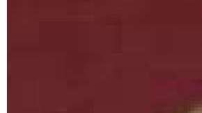 Craig Hamilton-Parker habló sobre lo que le espera al presidente estadounidense Donald Trump y al líder norcoreano Kim Jong-un.